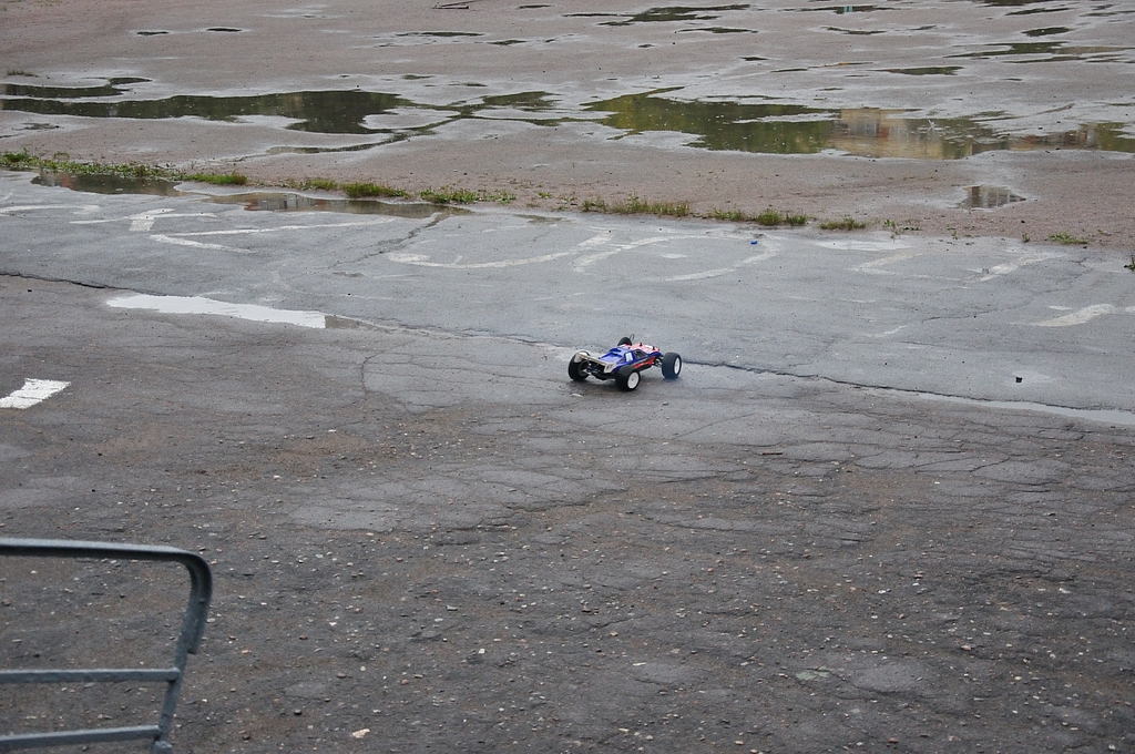 DSC_0113.jpg