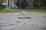 DSC_0104.jpg