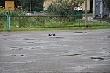 DSC_0105.jpg