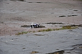 DSC_0107.jpg