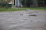 DSC_0115.jpg