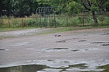 DSC_0116.jpg