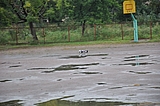 DSC_0117.jpg