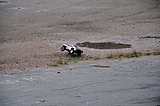 DSC_0119.jpg
