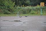 DSC_0124.jpg