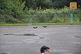 DSC_0125.jpg
