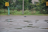 DSC_0131.jpg