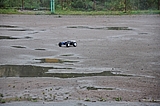 DSC_0136.jpg