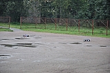 DSC_0141.jpg
