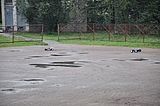 DSC_0144.jpg