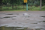 DSC_0145.jpg