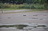 DSC_0146.jpg