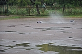 DSC_0151.jpg
