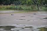 DSC_0152.jpg