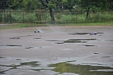 DSC_0155.jpg