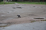 DSC_0156.jpg