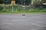 DSC_0158.jpg