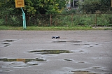 DSC_0159.jpg