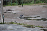 DSC_0160.jpg