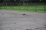 DSC_0166.jpg
