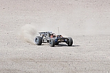 IMG_1083.jpg