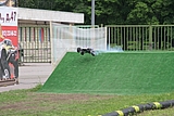 IMG_9713.JPG