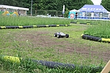 IMG_9720.JPG