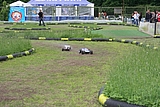 IMG_9729.JPG