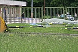 IMG_9731.JPG