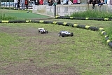 IMG_9734.JPG