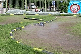 IMG_9768.JPG