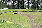 IMG_9784.JPG