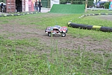 IMG_9806.JPG