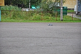 DSC_0604.jpg
