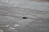 DSC_0753.jpg