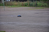 DSC_0848.jpg