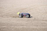 IMG_8801.JPG