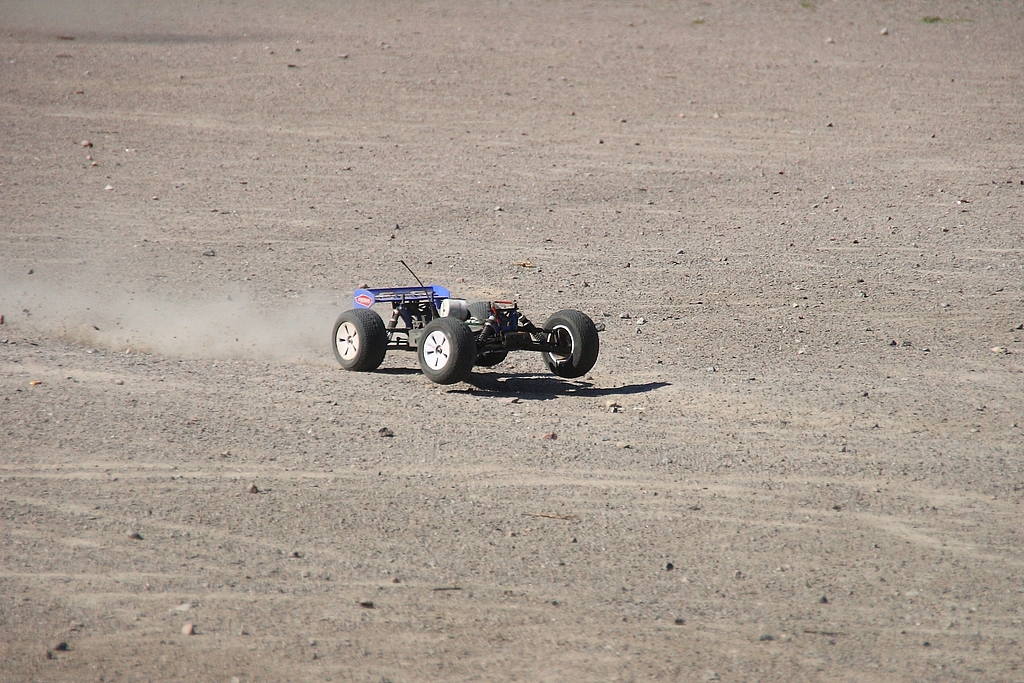 IMG_9982.JPG
