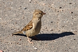 IMG_9941.JPG