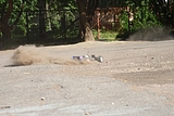 IMG_9975.JPG