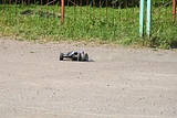 IMG_9980.JPG