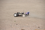 IMG_9987.JPG