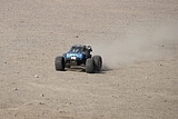 IMG_0487.JPG