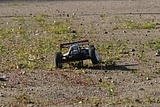 IMG_7323.JPG