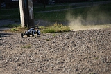IMG_7331.JPG
