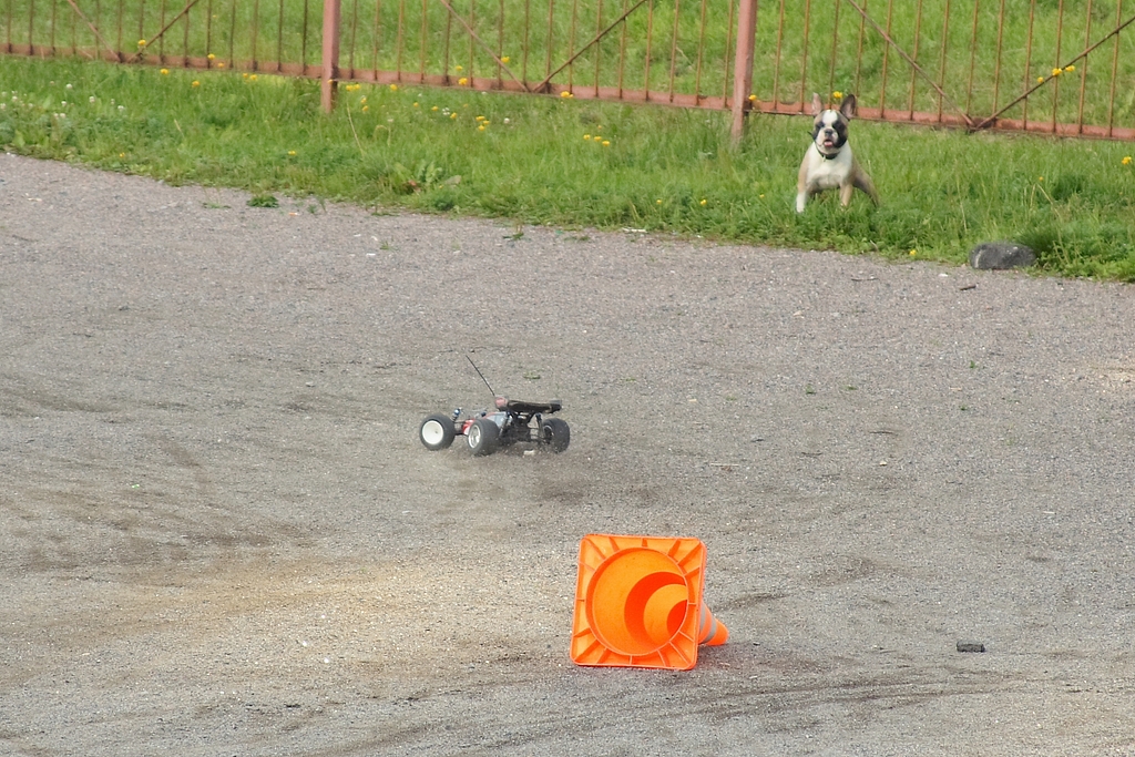 IMG_0848.JPG